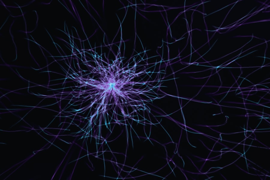 Network Diagram