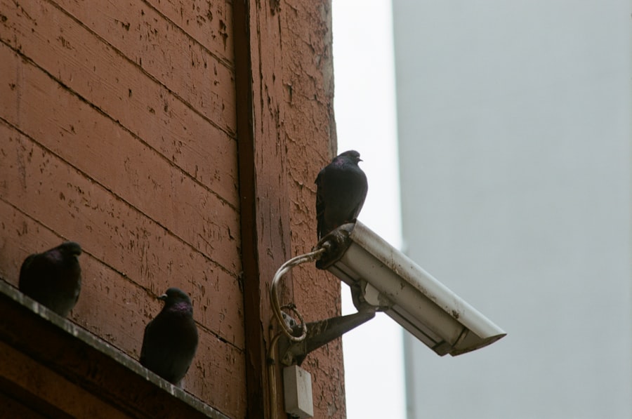 Photo Security Headers