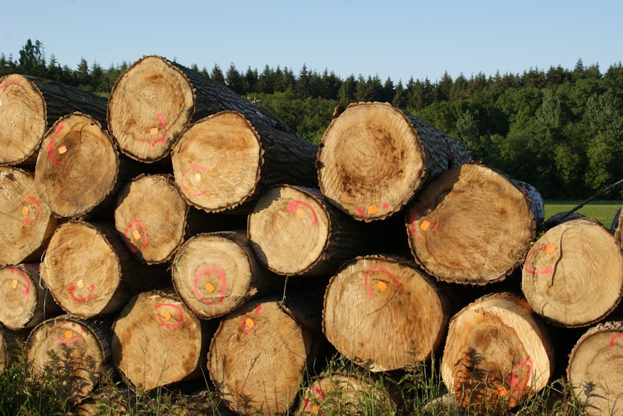 Photo SaaS Logging Strategy