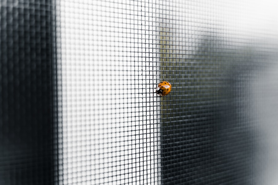 Photo Bug Bounty Program