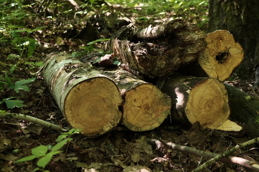 Photo SaaS CTOs, Mandatory Logging